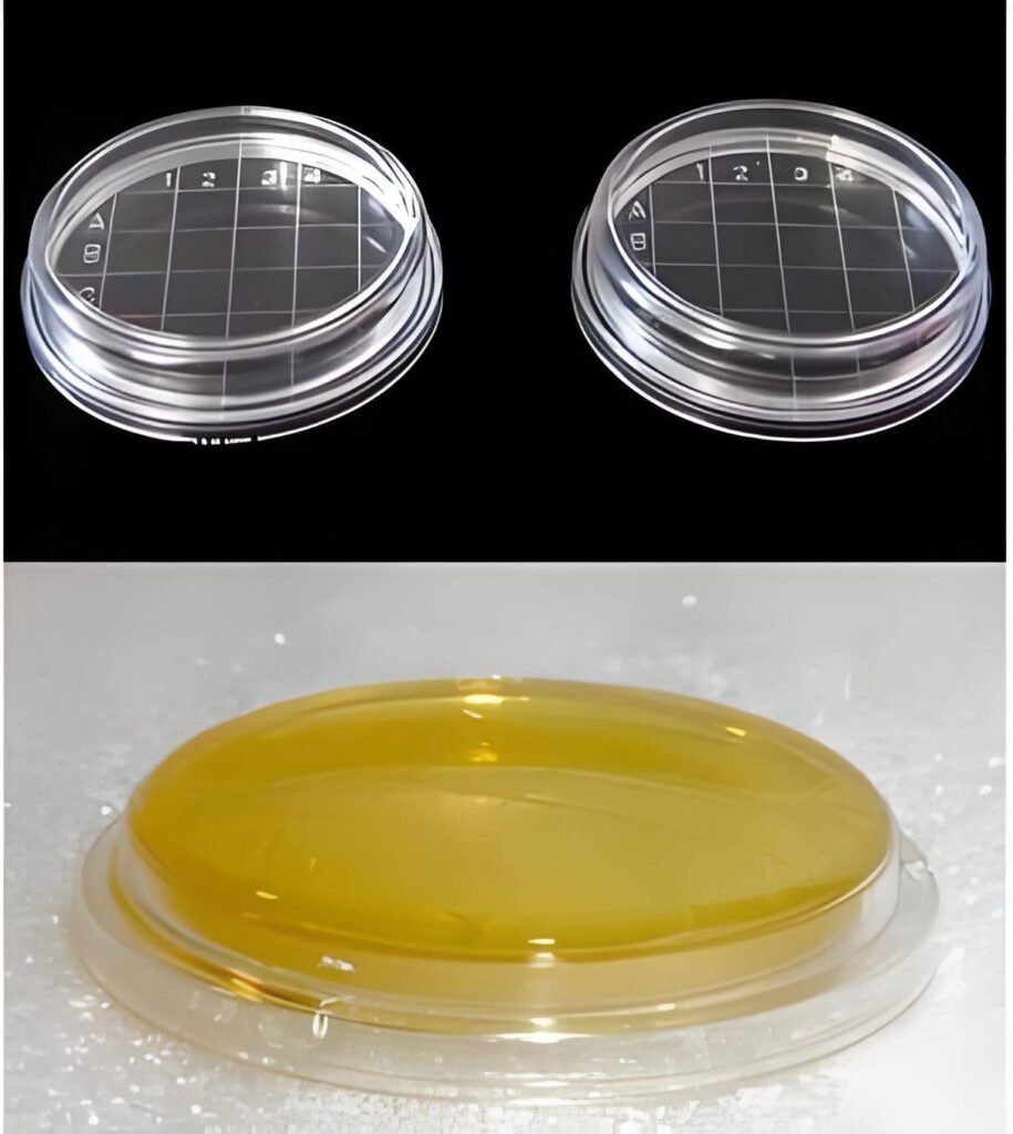150mm disposable petri dish for laboratory culture experiments