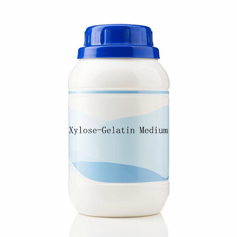 Sealed bottle of Xylose-Gelatin Medium powder for hydrolysis testing - 250g high-gelatin formulation